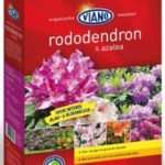 viano rode azalea mest