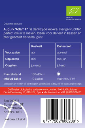 Augurk 'Adam F1' - Afbeelding 2