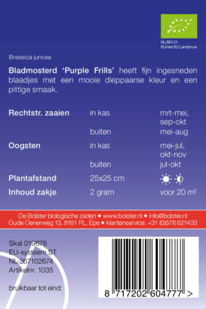 Bladmosterd 'Purple Frills' - Afbeelding 2