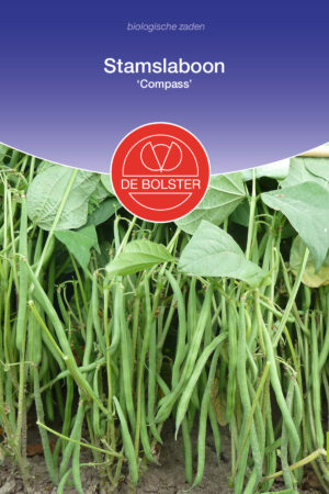 Stamslaboon 'Compass' - Afbeelding 1