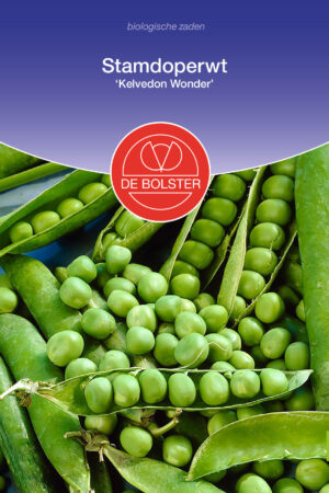 Stamdoperwt 'Kelvedon Wonder' - Afbeelding 1