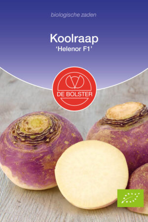 Koolraap 'Helenor F1' - Afbeelding 1