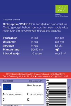 Blokpaprika 'Waldo F1' - Afbeelding 2
