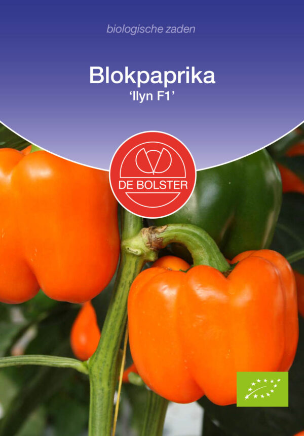 De Bolster