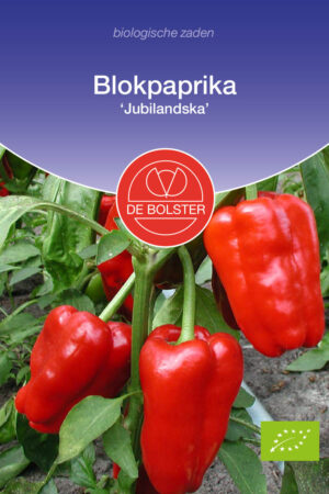 Blokpaprika 'Jubilandska' - Afbeelding 1