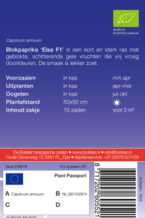 Blokpaprika 'Elsa F1' - Afbeelding 2