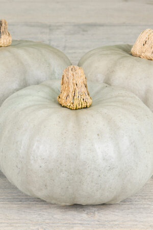 Pompoen 'Leck?r F1' - Afbeelding 3