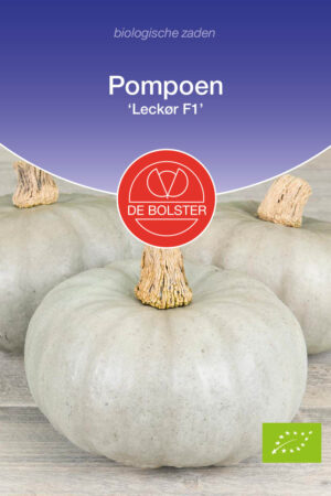 Pompoen 'Leck?r F1' - Afbeelding 1