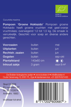 Pompoen 'Groene Hokkaido' - Afbeelding 2