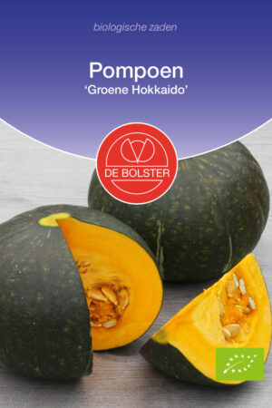 Pompoen 'Groene Hokkaido' - Afbeelding 1
