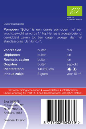 Pompoen 'Solor' - Afbeelding 2