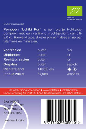 Pompoen 'Uchiki Kuri' - Afbeelding 2