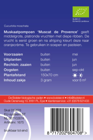Muskaatpompoen 'Muscat de Provence' - Afbeelding 2