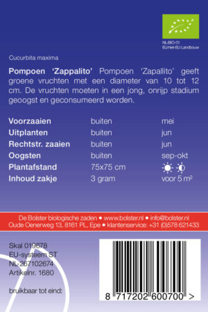 Pompoen 'Zappalito' - Afbeelding 2