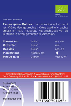 Flespompoen 'Butternut' - Afbeelding 2