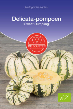 Delicata-pompoen 'Sweet Dumpling' - Afbeelding 1