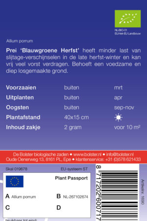 Prei 'Blauwgroene Herfst' - Afbeelding 2