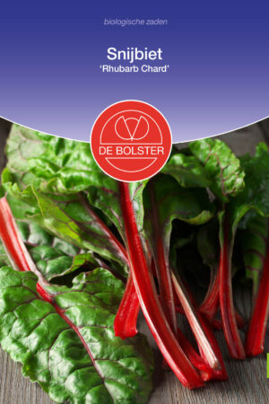 Snijbiet 'Rhubarb Chard' - Afbeelding 1