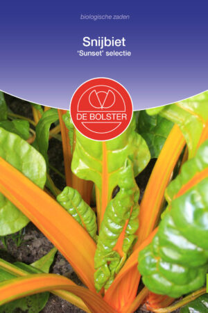 Snijbiet 'Sunset selectie' - Afbeelding 1