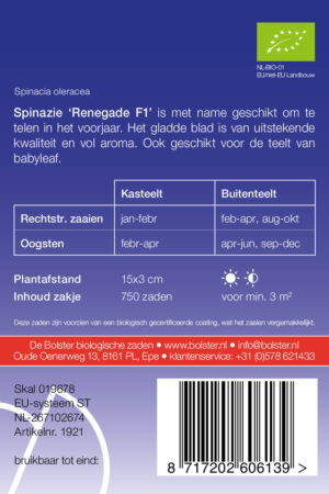 Spinazie 'Renegade F1' - Afbeelding 2