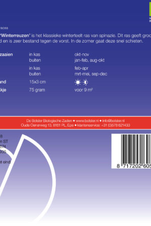 Spinazie 'Winterreuzen' - Afbeelding 2