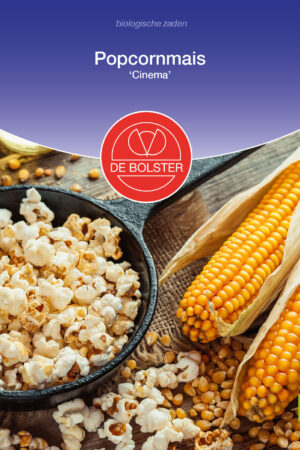 Popcornmais 'Cinema' - Afbeelding 1