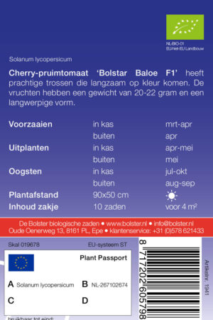 Cherry-pruimtomaat 'Bolstar Baloe F1' - Afbeelding 2