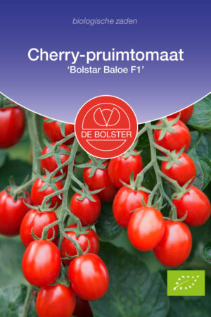 Cherry-pruimtomaat 'Bolstar Baloe F1' - Afbeelding 1
