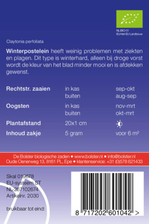 Winterpostelein - Afbeelding 2