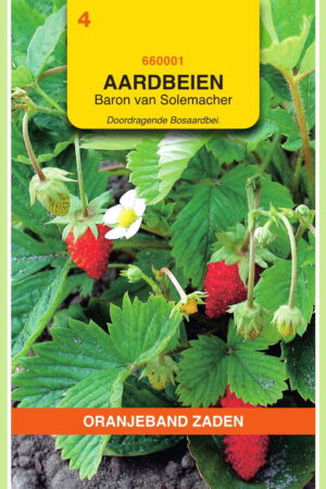 OBZ Aardbeien Baron von Solemacher - Afbeelding 1