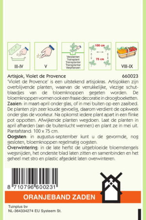 OBZ Artisjokken Violet de Provence - Afbeelding 2