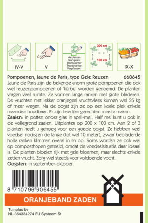 OBZ Pompoenen Jaune De Paris - Afbeelding 2