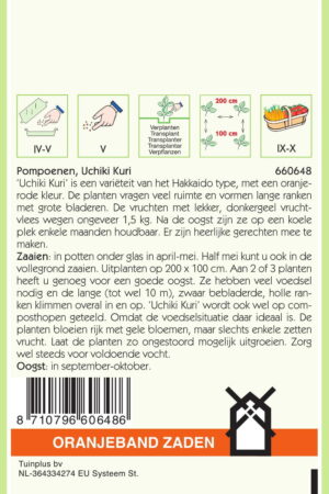 OBZ Pompoenen Uchiki Kuri - Afbeelding 2