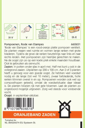 OBZ Pompoenen Rode Van Etampes - Afbeelding 2