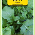 660955.jpeg - Tuincentrum Bos Park Tuin Roden 660955.jpeg