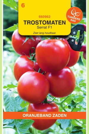 OBZ Tomaten Serrat F1 - Afbeelding 1