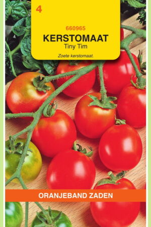 OBZ Tomaten Tiny Tim Kers- Balkontomaten - Afbeelding 1