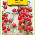 660967.jpeg - Tuincentrum Bos Park Tuin Roden 660967.jpeg