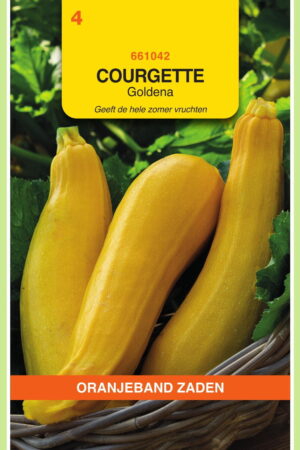 OBZ Courgette Goldena - Afbeelding 1