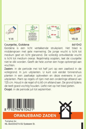 OBZ Courgette Goldena - Afbeelding 2