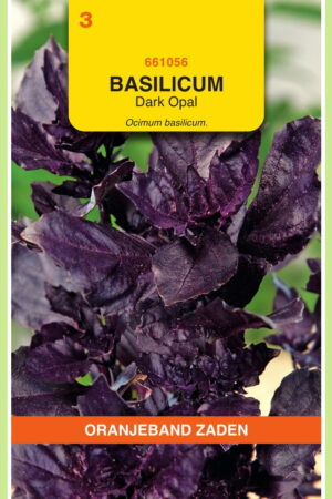 OBZ Basilicum Dark Opal - Afbeelding 1