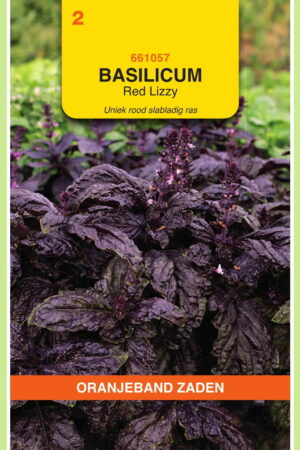 OBZ Basilicum Rode slabladige Red Lizzy - Afbeelding 1