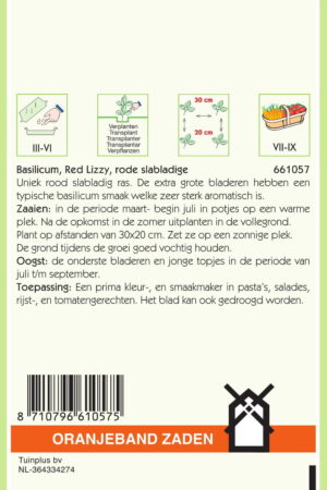 OBZ Basilicum Rode slabladige Red Lizzy - Afbeelding 2