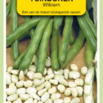 61146 75x120x64.indd