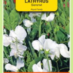 665818.jpeg - Tuincentrum Bos Park Tuin Roden 665818.jpeg