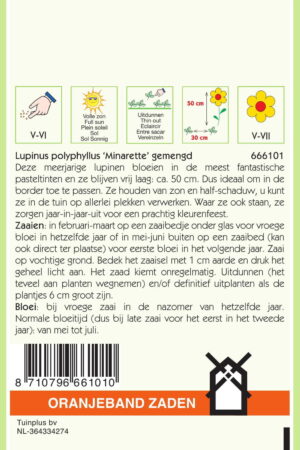 OBZ Lupinus, Lupine Minarette gemengd - Afbeelding 2