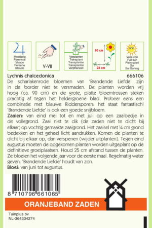 OBZ Lychnis, Brandende Liefde - Afbeelding 2