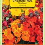 666271.jpeg - Tuincentrum Bos Park Tuin Roden 666271.jpeg