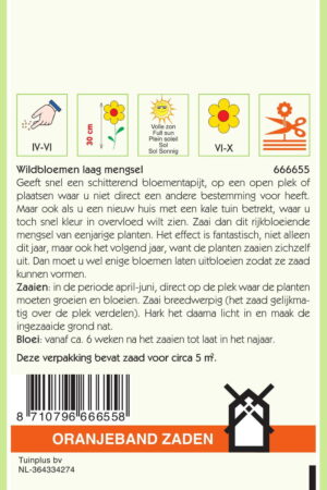 OBZ Wildbloemen mengsel eenjarig, laag - Afbeelding 2