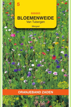 OBZ Van Tubergen bloemenweide mengsel - Afbeelding 1